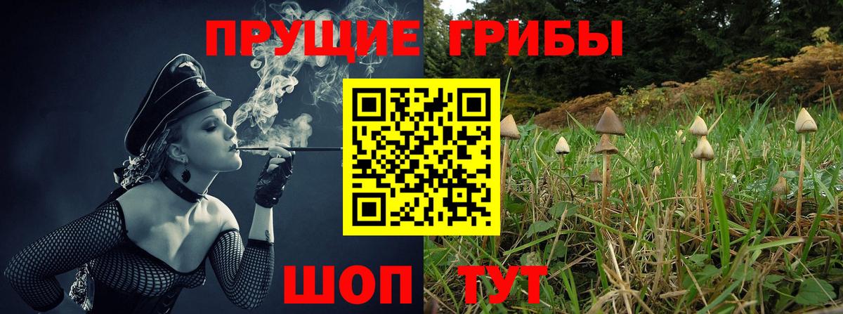 Псилоцибиновые грибы Cubensis  Вход с VPN  Галлюциногенные грибы Cubensis  Вольск 